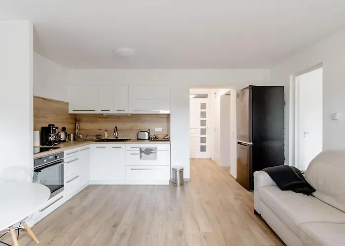 Lovely Flat With Large Terrace